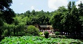 長沙出發(fā)到花明樓、韶山、張家界國家森林公園、天門仙山國家森林公園四日游